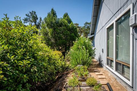 533 Perry St, Jackson, CA 95642 photo 9