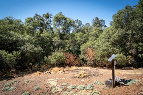 12940 New York Ranch Rd, Jackson, CA 95642 photo 15