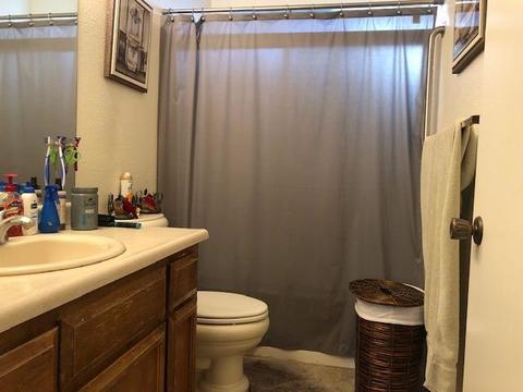 1321 Windsor Ct, Turlock, CA 95380 photo 5