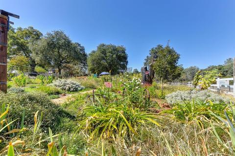 5000 Gold Hill Rd, Placerville, CA 95667 photo 52