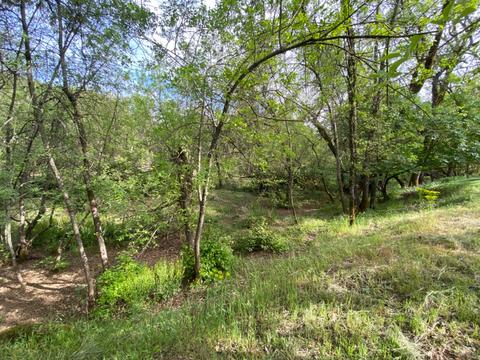 17429 Brewer Rd, Grass Valley, CA 95949 photo 14