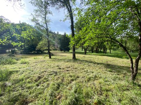 17429 Brewer Rd, Grass Valley, CA 95949 photo 5