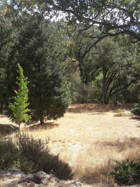 17429 Brewer Rd, Grass Valley, CA 95949 photo 19