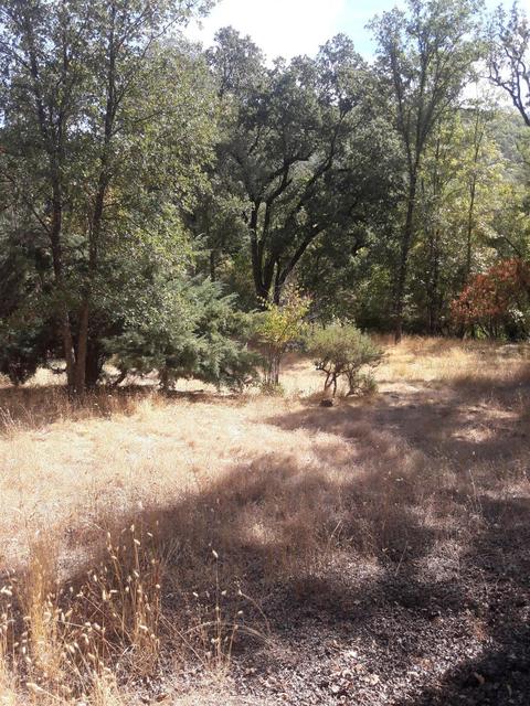 17429 Brewer Rd, Grass Valley, CA 95949 photo 20