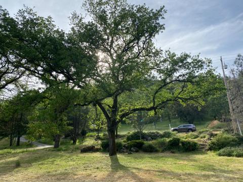 17429 Brewer Rd, Grass Valley, CA 95949 photo 3