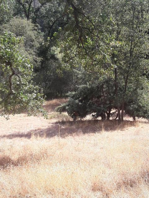 17429 Brewer Rd, Grass Valley, CA 95949 photo 17