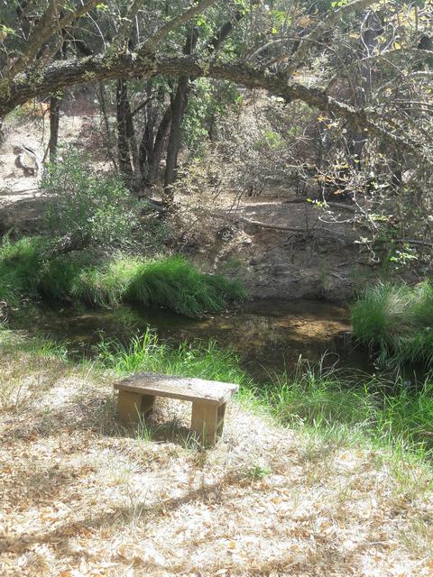 17429 Brewer Rd, Grass Valley, CA 95949 photo 18