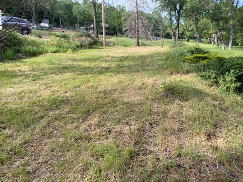 17429 Brewer Rd, Grass Valley, CA 95949 photo 4