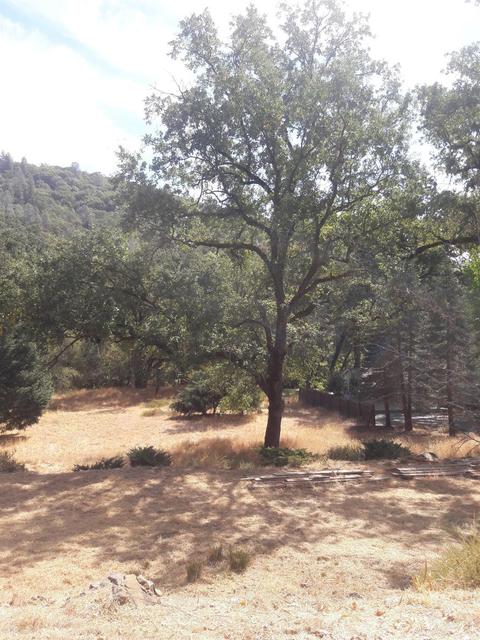 17429 Brewer Rd, Grass Valley, CA 95949 photo 16