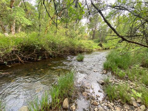 17429 Brewer Rd, Grass Valley, CA 95949 photo 1