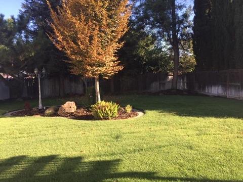 1709 Chaney Dr, Modesto, CA 95351 photo 13