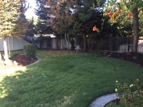 1709 Chaney Dr, Modesto, CA 95351 photo 14