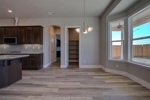 908 Gabrille Pl Pl, Ripon, CA 95366 photo 26