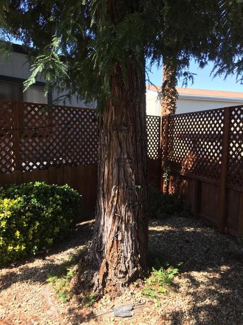 191 Schooner Ln, Modesto, CA 95356 photo 25