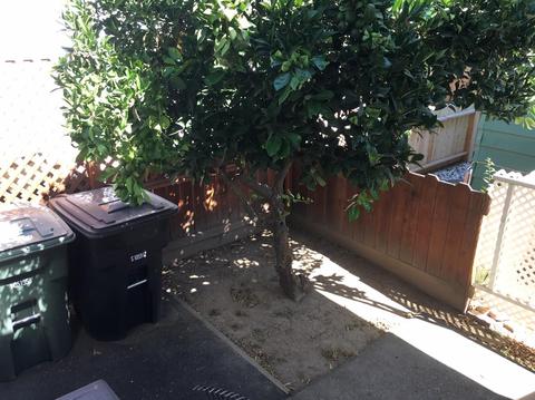 191 Schooner Ln, Modesto, CA 95356 photo 26