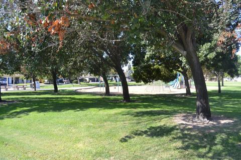 868 Oak Terrace Ct, Ripon, CA 95366 photo 4