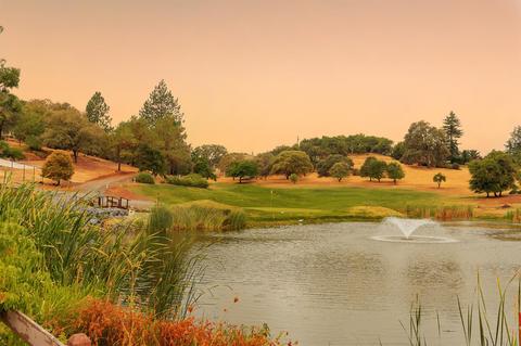 1501 Trading Post Ct, Cool, CA 95614 photo 44