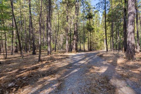 19531 Cherokee Ln, Volcano, CA 95689 photo 24
