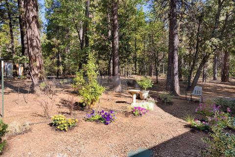 19531 Cherokee Ln, Volcano, CA 95689 photo 20