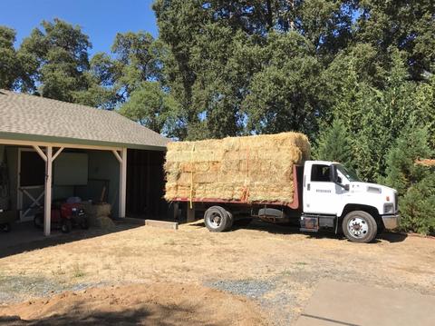 2130 Ranch Creek Rd, Cool, CA 95614 photo 54