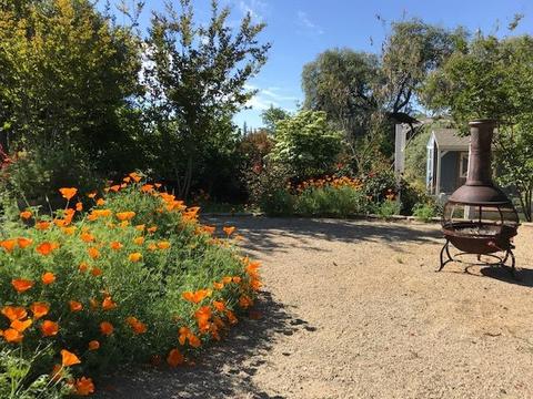 2130 Ranch Creek Rd, Cool, CA 95614 photo 33