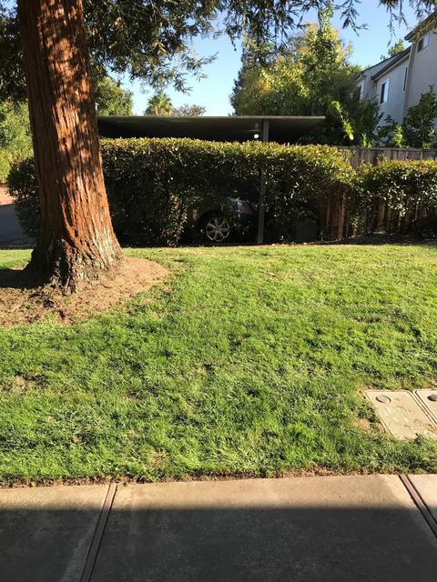 4048 Knoll Top Ct, Carmichael, CA 95608 photo 59