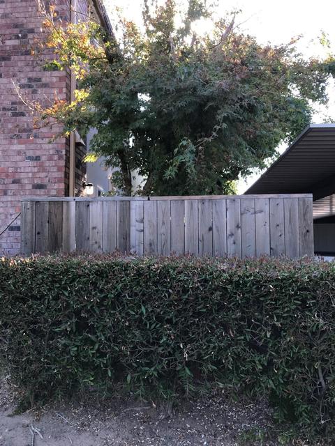 4048 Knoll Top Ct, Carmichael, CA 95608 photo 53