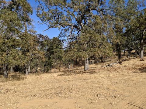 2017 Sugar Loaf Ct, Copperopolis, CA 95228 photo 8