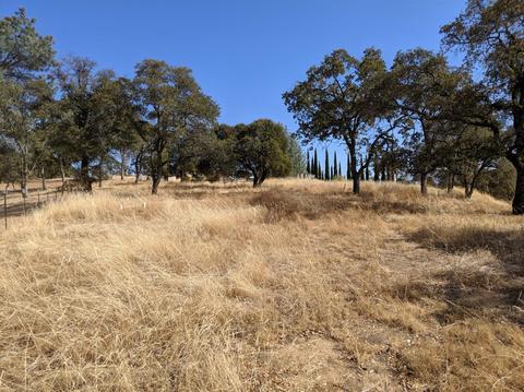 2017 Sugar Loaf Ct, Copperopolis, CA 95228 photo 10