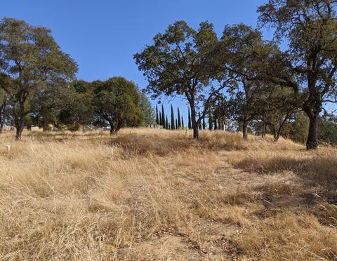 2017 Sugar Loaf Ct, Copperopolis, CA 95228 photo 9