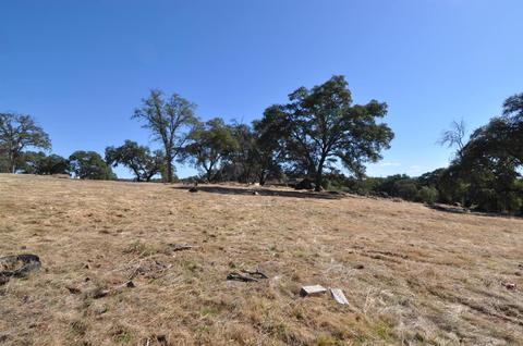 5610 Bears Den Rd, Placerville, CA 95667 photo 9