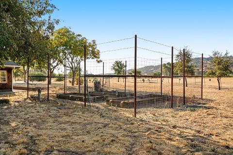 19871 County Road 79, Capay, CA 95607 photo 13