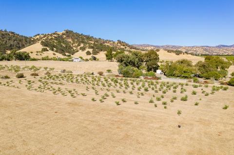 19871 County Road 79, Capay, CA 95607 photo 36