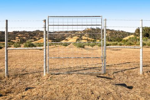 19871 County Road 79, Capay, CA 95607 photo 14
