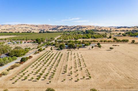 19871 County Road 79, Capay, CA 95607 photo 9