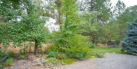 22501 Sawmill Flat Rd, Sonora, CA 95370 photo 21