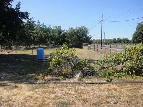 10108 E Waterloo Rd, Stockton, CA 95215 photo 6