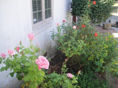 10108 E Waterloo Rd, Stockton, CA 95215 photo 7