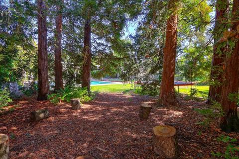 43377 Walnut Ln, Davis, CA 95618 photo 37