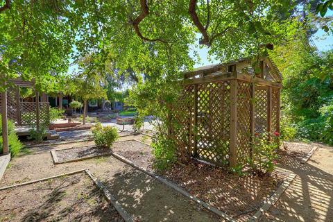 43377 Walnut Ln, Davis, CA 95618 photo 38