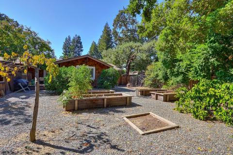 43377 Walnut Ln, Davis, CA 95618 photo 40