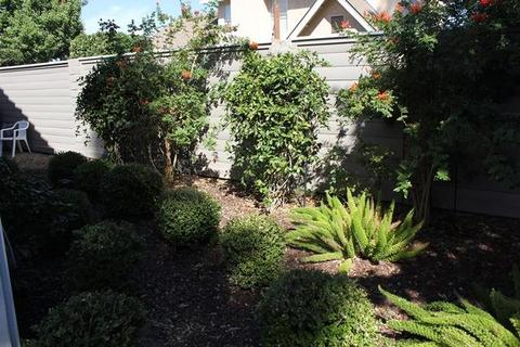 3704 Regency Park Dr, Modesto, CA 95356 photo 20
