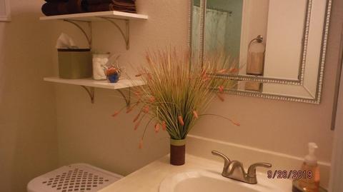 1212 Ibis Dr, Patterson, CA 95363 photo 18