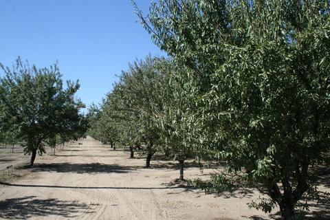 18915 S Carrolton, Ripon, CA 95366 photo 2