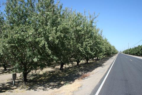 18915 S Carrolton, Ripon, CA 95366 photo 1