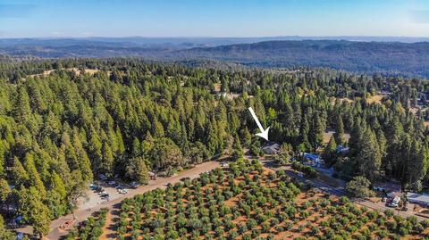 2980 Gatlin Rd, Placerville, CA 95667 photo 41