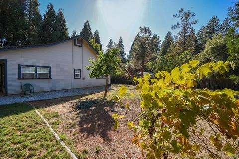 2980 Gatlin Rd, Placerville, CA 95667 photo 29