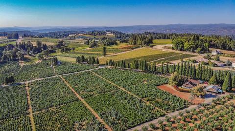 2980 Gatlin Rd, Placerville, CA 95667 photo 39