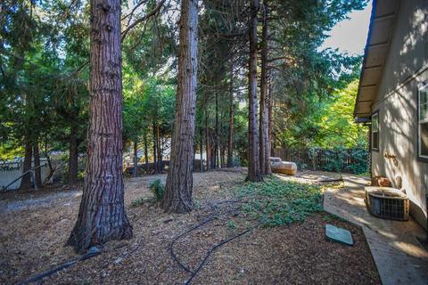 2980 Gatlin Rd, Placerville, CA 95667 photo 33