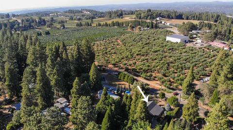 2980 Gatlin Rd, Placerville, CA 95667 photo 38